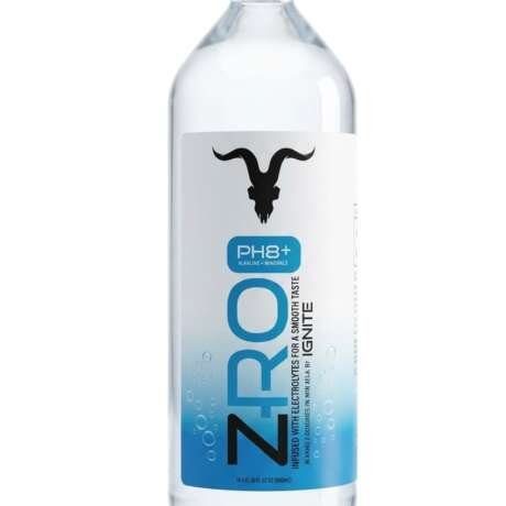 IGNITE pH 8+ Alkaline Water with Calcium & Magnesium Minerals | Zero Calories Non-Carbonated Purified Drinking Water | Leak Resistant Bottles for Home, Office & Travel | Pack of 15, 1 Litre Each