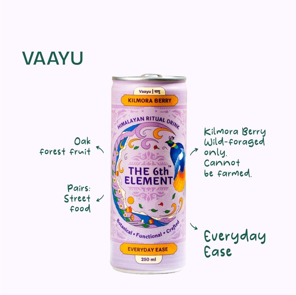 Himalayan berberine (Kilmora) Berry Botanical Malt Brew Pack of 12 Energy Drink, 250ml- Wild Foraged Berry Blend- Zero Added Sugar- Only 2.50 Calories per Can- Low Calorie Drink for Daily Refreshment & Wellness - Image 3