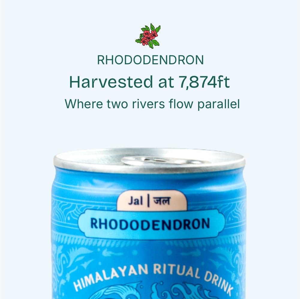 Rhododendron (Buransh) Botanical Malt Brew Pack of 6 Energy Drink, 250ml- Natural Anthocyanins- 2g Fiber per Can- Zero Added Sugar- Low Calorie Drink for Daily Refreshment & Wellness - Image 4