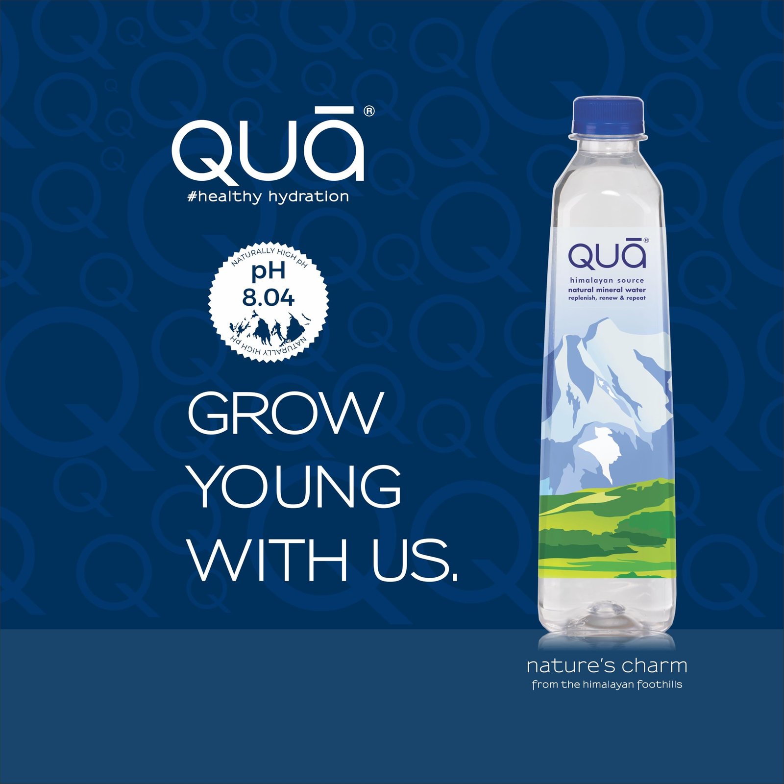 Qua Natural Mineral Water | 500ml x 24 | From the Himalayan Foothills | Rich in Calcium, Magnesium and Other Minerals | Naturally Alkaline | India’s Finest Water | pH 8+ - Image 7