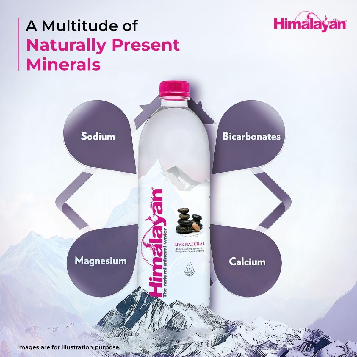 Himalayan Natural Mineral Water, 1000 ml, Mildly Alkaline, Sourced from Himalayas, Untouched & Unprocessed, Balanced pH of 7-8 - Image 8