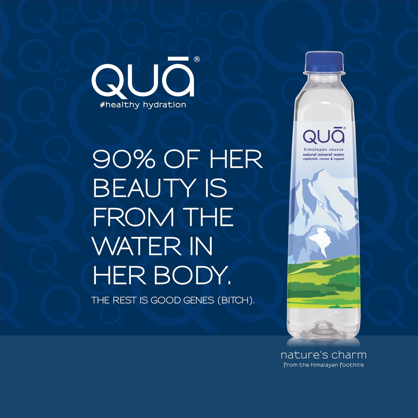 Qua Natural Mineral Water | 500ml x 24 | From the Himalayan Foothills | Rich in Calcium, Magnesium and Other Minerals | Naturally Alkaline | India’s Finest Water | pH 8+ - Image 8