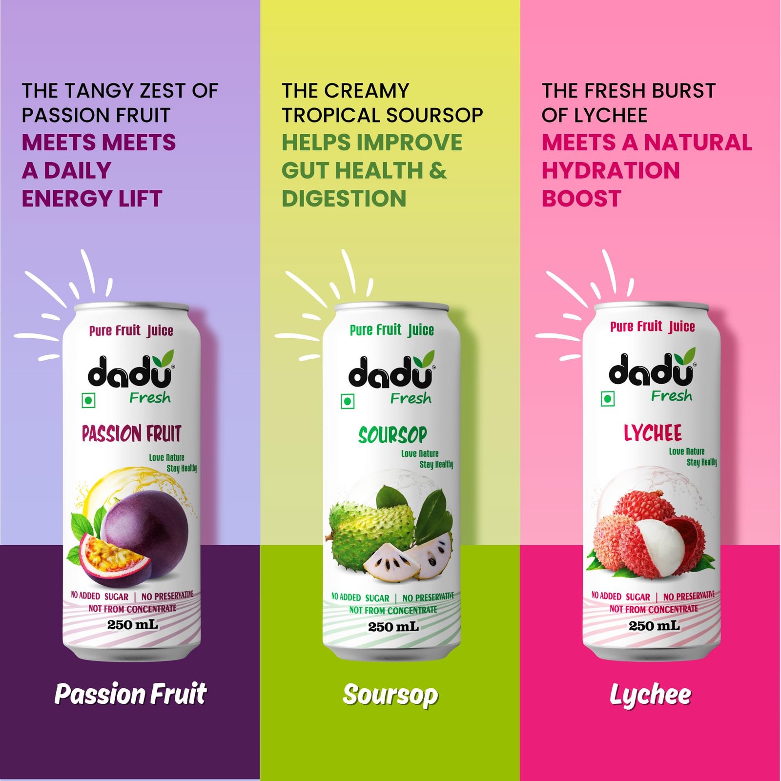 Dadu Fresh Fruit Juice Combo Pack | Pure Natural Healthy Beverage | No Added Sugar, No Preservatives | Soursop, Passion Fruit, Mixed Fruit, Lychee, Mixed Berries, Mangosteen | 6 Cans x 250ml (1500ml) - Image 5