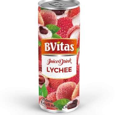Swad Bvitas Lychee Juice|No Added Preservatives,No Artificial Colours&Flavours|Rich In Vitamin C|Tasty,Refreshing&Energising Drink|(Pack Of 24,250 Ml Each)