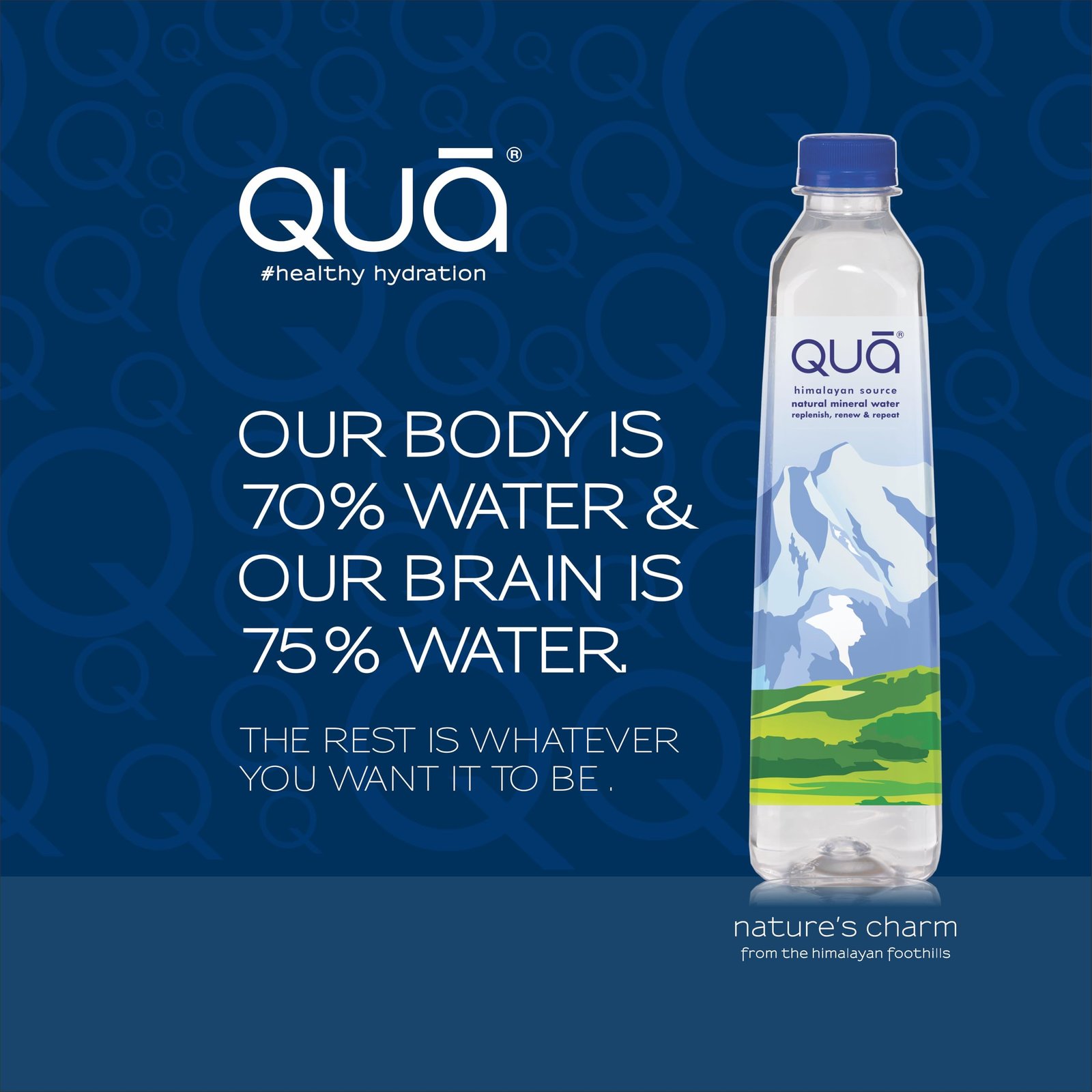 Qua Natural Mineral Water | 500ml x 24 | From the Himalayan Foothills | Rich in Calcium, Magnesium and Other Minerals | Naturally Alkaline | India’s Finest Water | pH 8+ - Image 6