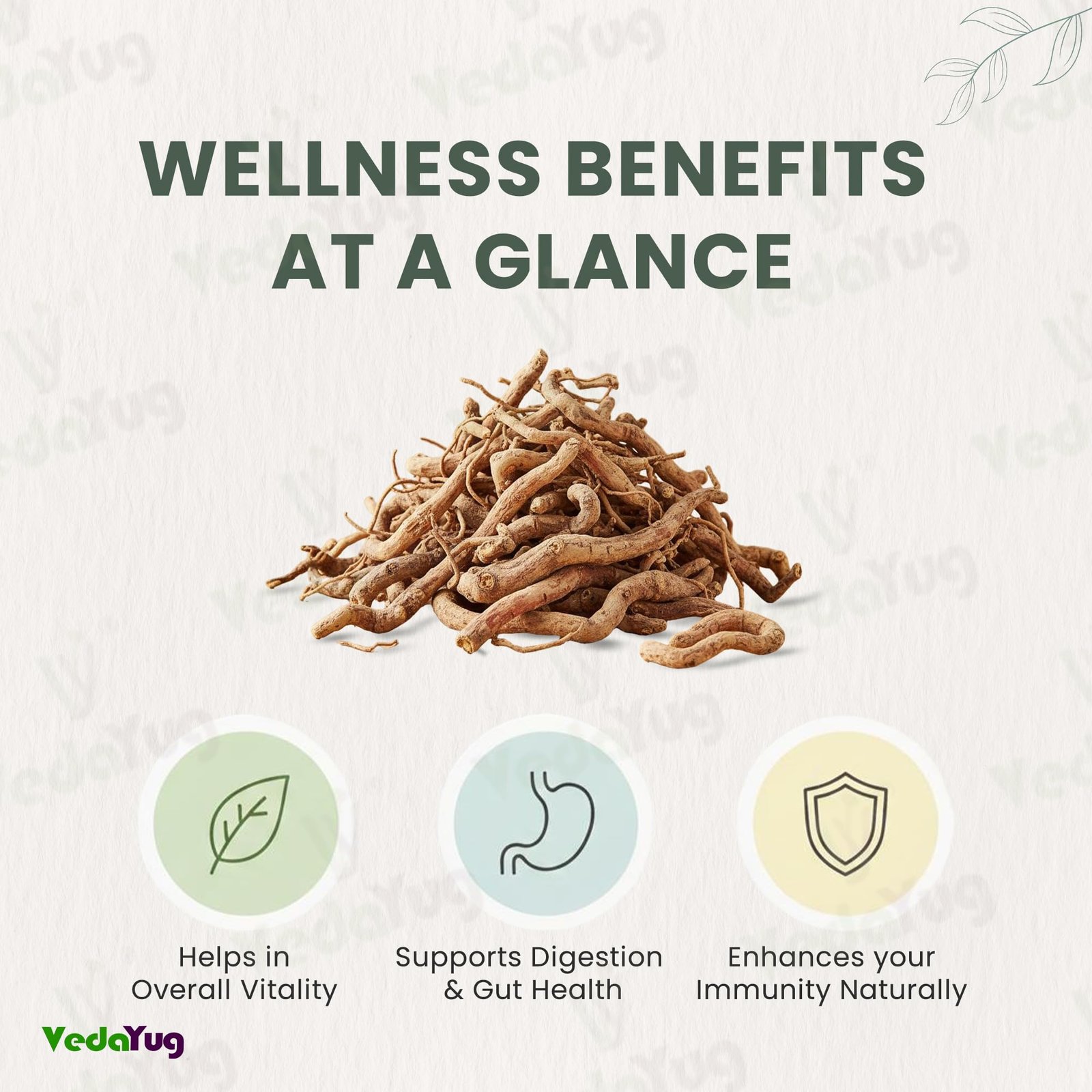 VY VedaYug Ganthoda Powder (Piplamool/Pipramul) - 200g | Natural Indian Long Pepper Root for Joint Comfort, Digestion & Gastric Relief | Traditional Winter Spice & Vata Dosha Care - Image 3