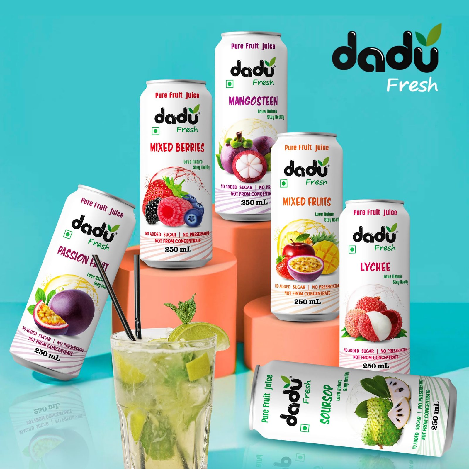 Dadu Fresh Fruit Juice Combo Pack | Pure Natural Healthy Beverage | No Added Sugar, No Preservatives | Soursop, Passion Fruit, Mixed Fruit, Lychee, Mixed Berries, Mangosteen | 6 Cans x 250ml (1500ml) - Image 2