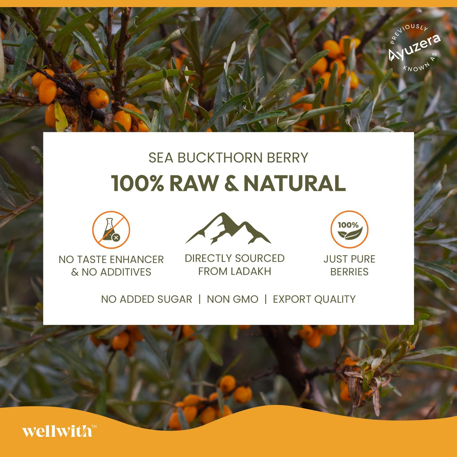 Ayuzera (Wellwith) Himalayan Sea Buckthorn Pulp Concentrate 300ml | Cold-Pressed | Makes 50 Glasses | Natural Vitamin C, Omega 3 6 7 9, Antioxidants | Immunity, Skin Glow & Gut Health Support | Juice Seabuckthorn - Image 7