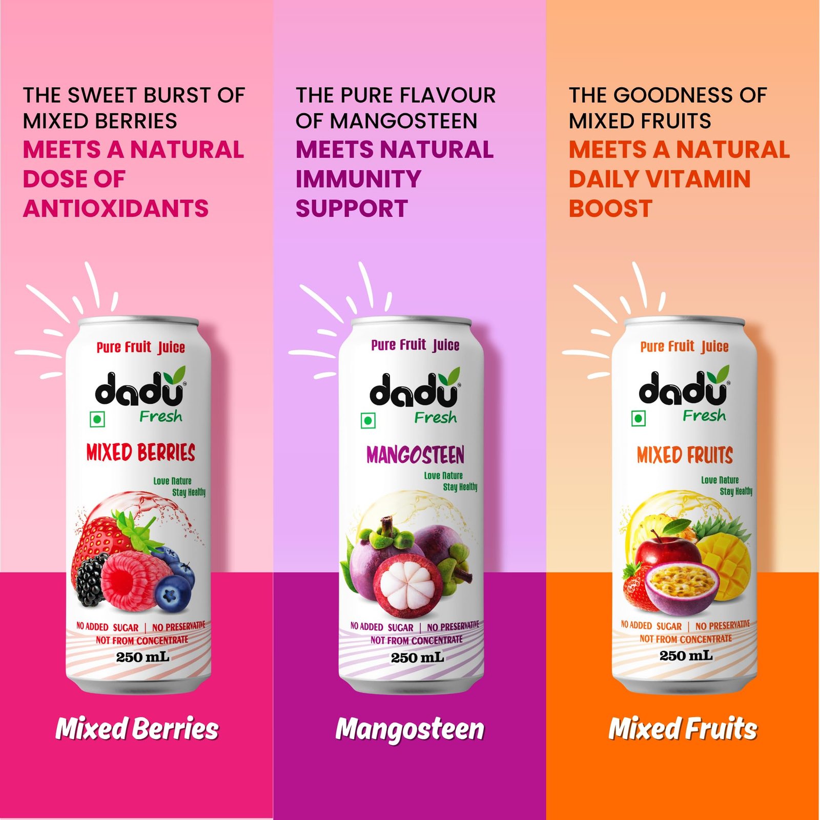 Dadu Fresh Fruit Juice Combo Pack | Pure Natural Healthy Beverage | No Added Sugar, No Preservatives | Soursop, Passion Fruit, Mixed Fruit, Lychee, Mixed Berries, Mangosteen | 6 Cans x 250ml (1500ml) - Image 4